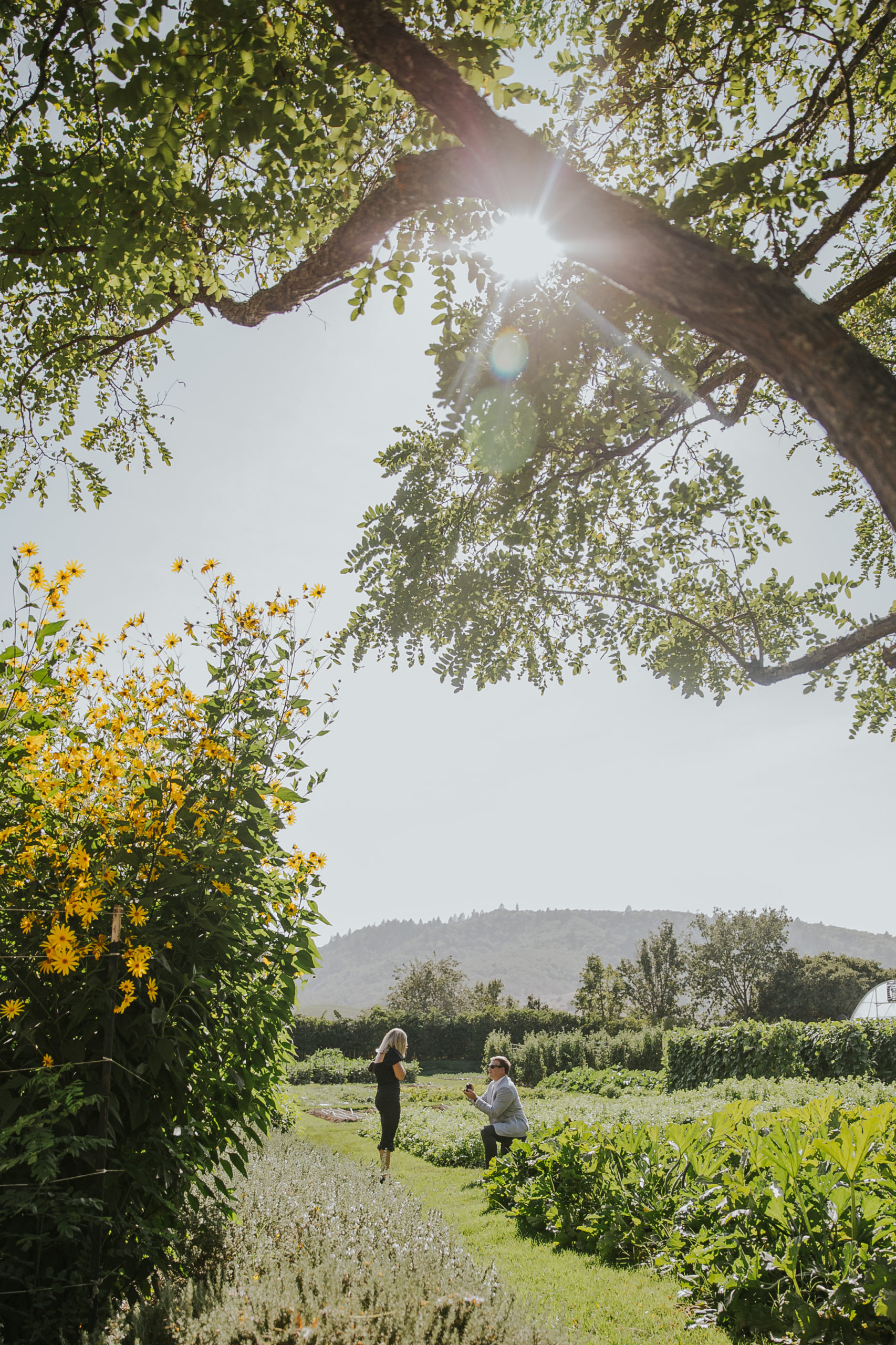 Rebecca Skidgel photography French Laundry gardens proposal photographer Napa Valley guy proposing to girl happy tears