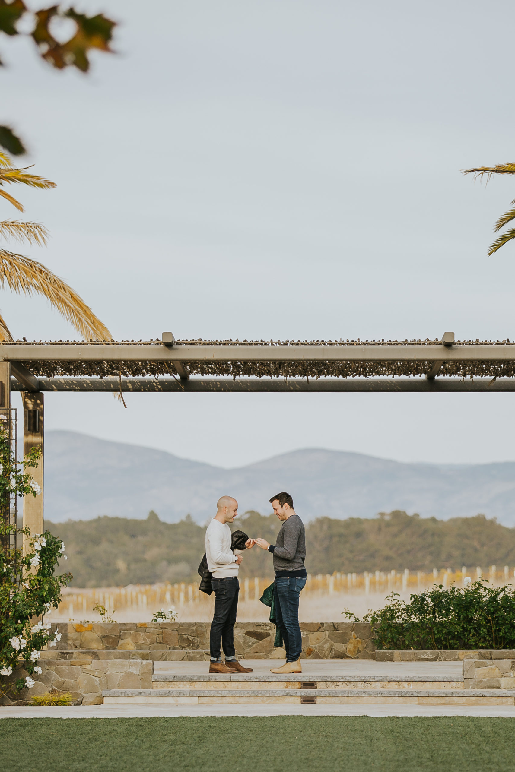 rebecca skidgel photography napa valley proposal photographer carneros resort and spa gay couple holding hands