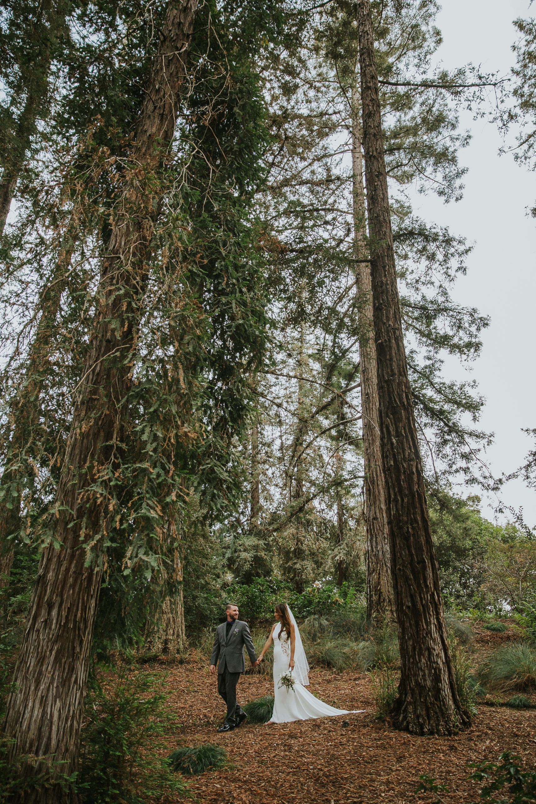 rebecca skidgel photography redwood elopement uc davis arboretum bride and groom portraits holding hands walking through forest laughing smiling
