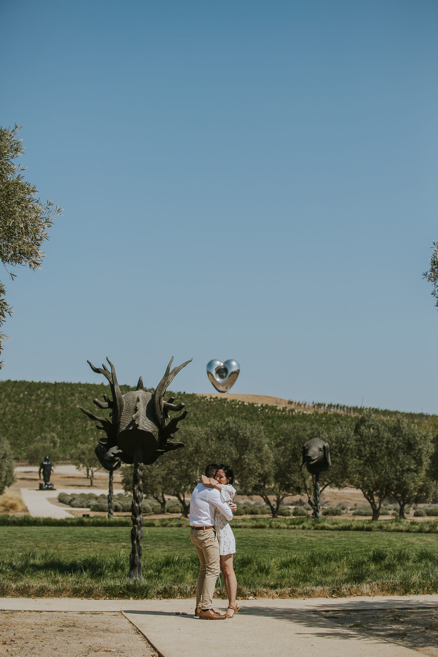 rebecca skidgel photography sonoma wedding photographer donum estate winery proposal couple hugging