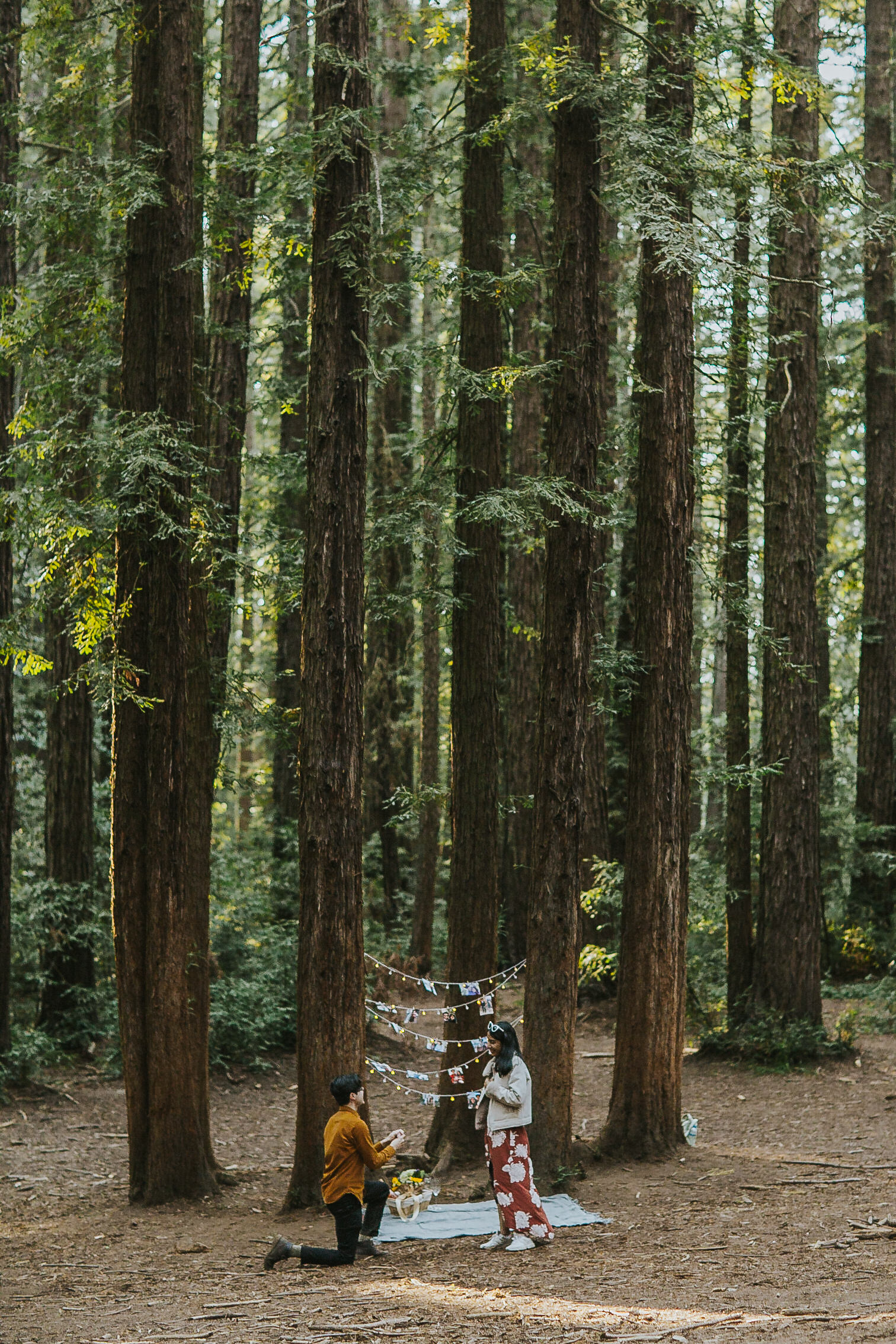 rebecca skidgel photography redwood picnic proposal oakland photographer guy proposing to girl