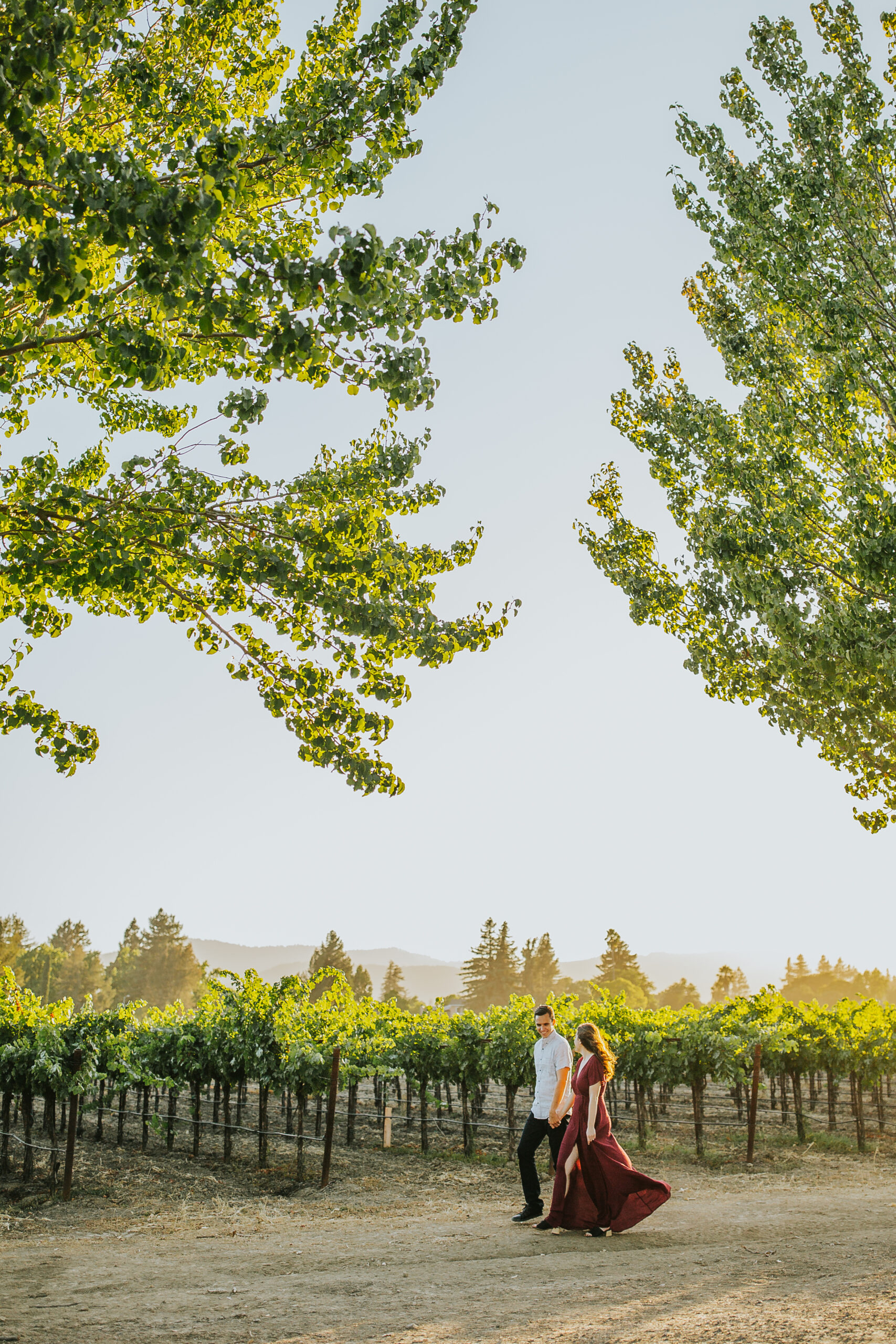 rebecca skidgel photography napa valley engagement photographer vineyards couple holding hands laughing
