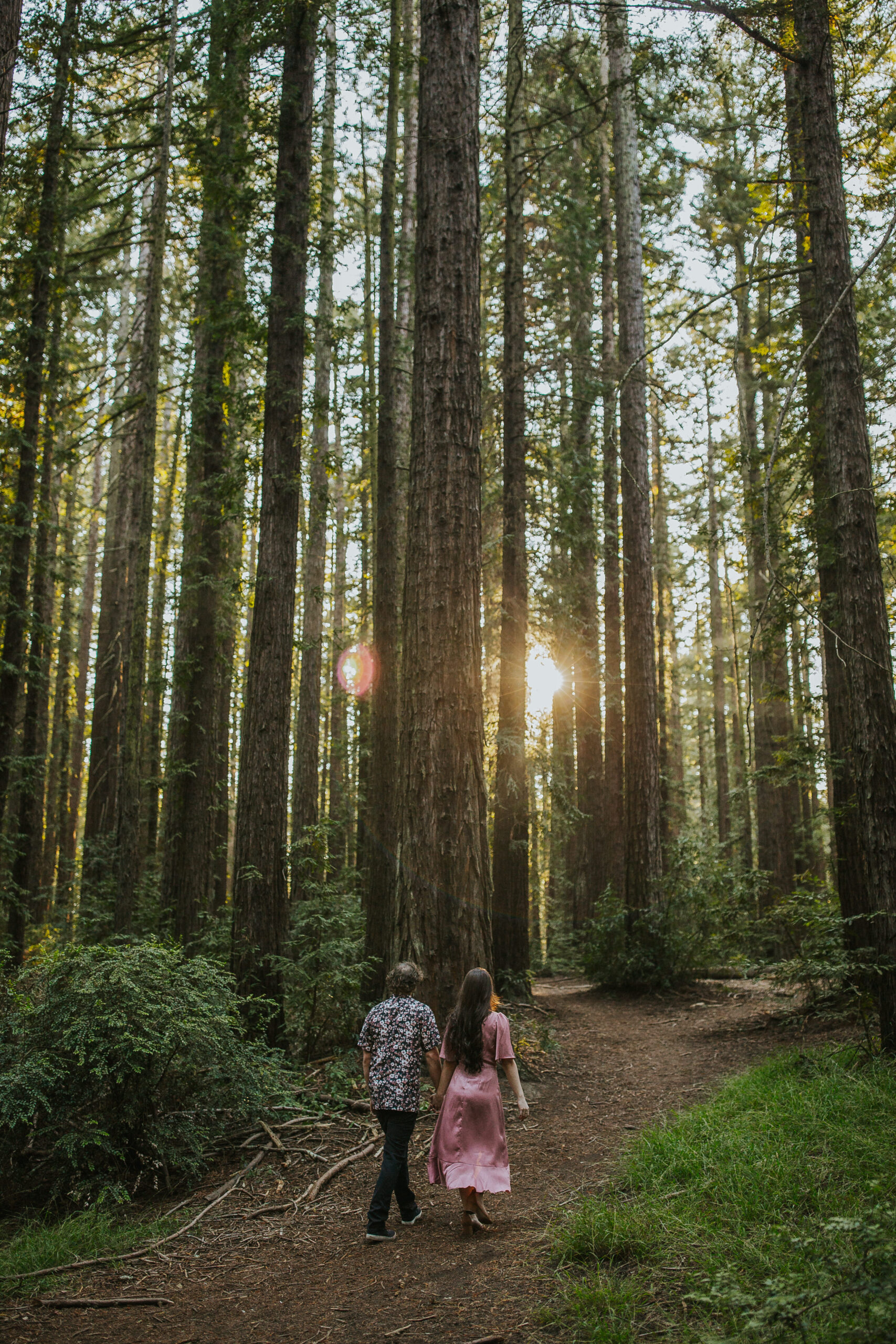 rebecca skidgel photography california photographer wedding engagement photographer redwoods couple holding hands walking