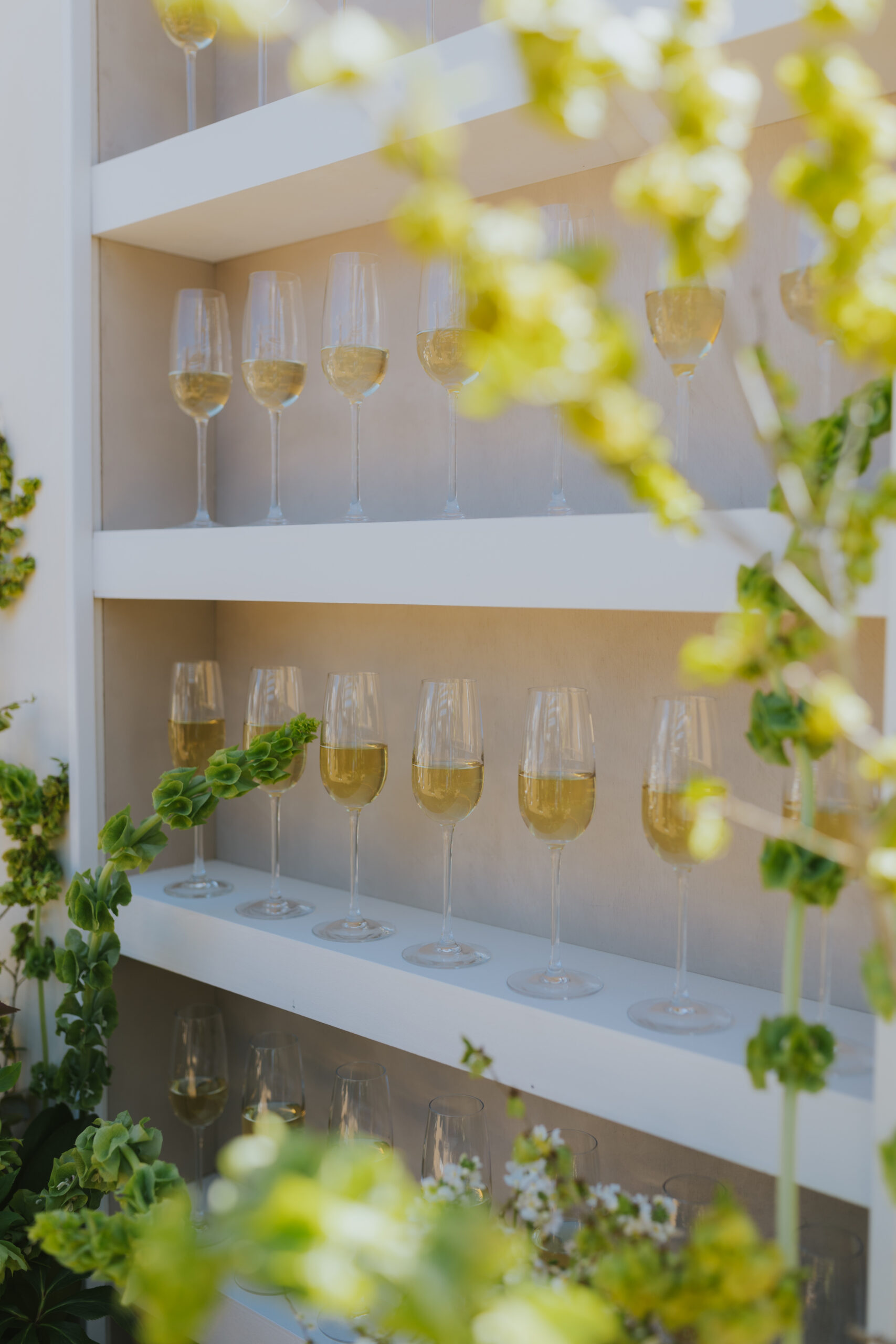Detail shot of champagne glasses lined up on a white display wall for wedding guests.