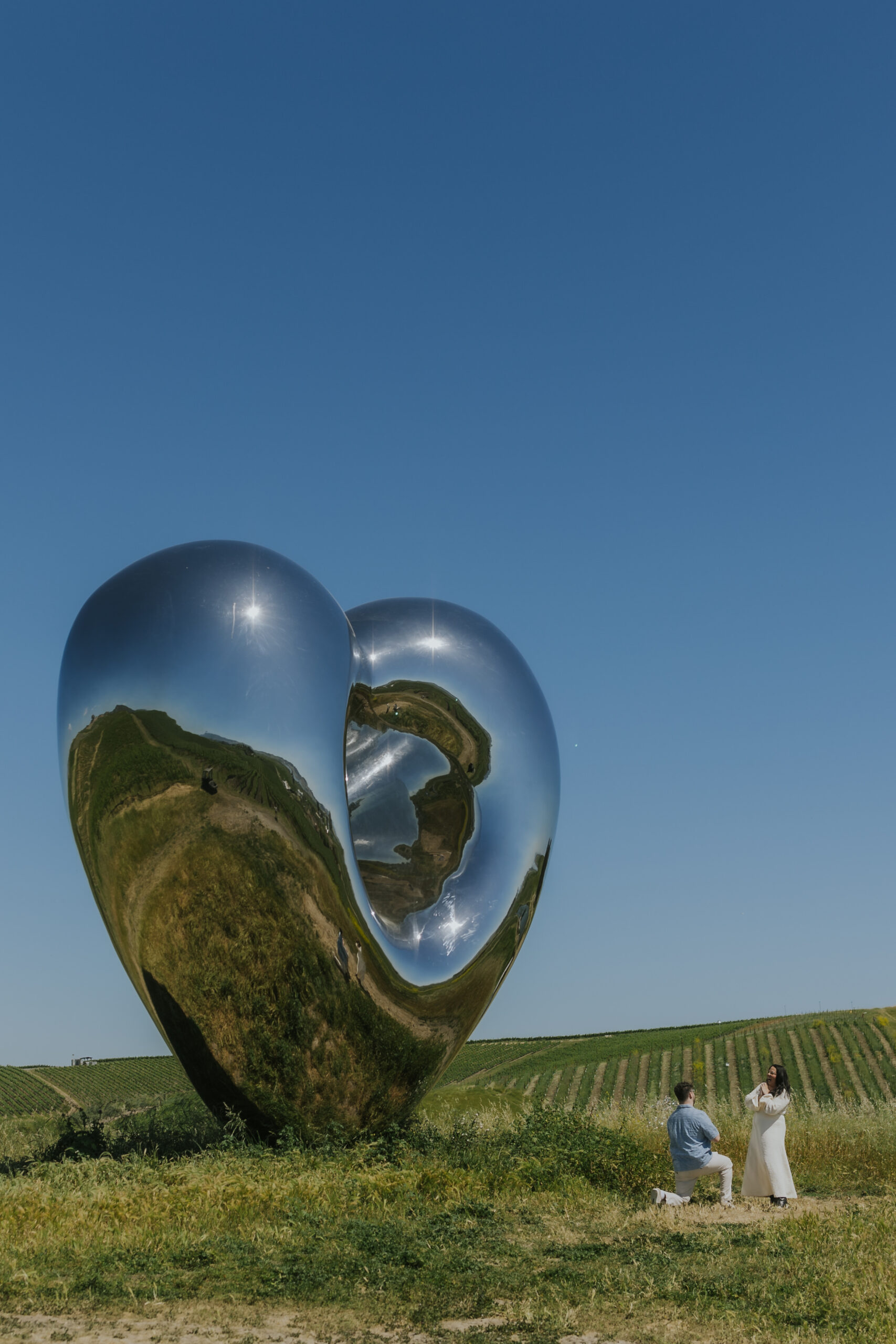 Dylan + Megan’s surprise proposal at The Donum Estate, surrounded by contemporary art, vineyards and wine in beautiful Sonoma, California.